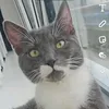 mouloko