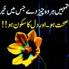 rashidsolangi094