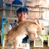 adi_channel15