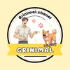 grinimal chanel