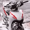 phuccon243