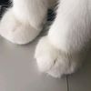 alealegulabatu_