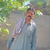 muhammadtariq47853