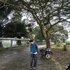 ridwan16166