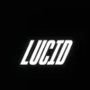 91lucid