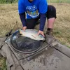 zielonogorzanin