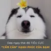 maivapy