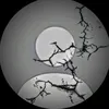 itzz_ravo