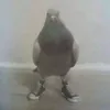 terygyt