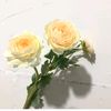 user7361718740881
