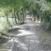 phamvannam1980