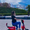 megaaulia956