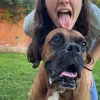 lily.mtx