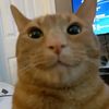 henry.yt0