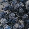 blue_bell_777