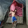 adisetiawan5665