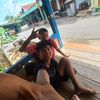 febioquartarao_019