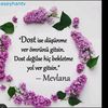nasiptenteyolgitm