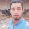 alizaib4809