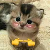 bunbo_hue02