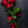 salemalamer736