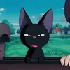 _elchoo
