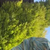 ethan.162