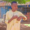 le_roi_star_