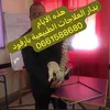 مولاي حفيظ بالهادي العلوي