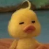 Bellmelashi