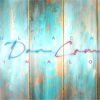 DanCam