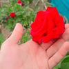 talhajadoon050