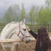 halatahtamouni75