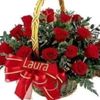 laura49120