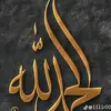 user53128641342428