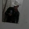 tigre_de_bengala1616