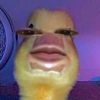 user10020081347005