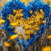 natka280473