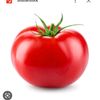 .tomate25