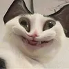 ttgamingcrush