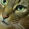 user5jn97xjna4