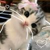 su.htet.momo