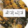 um.ammar683