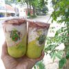 yanz_5105