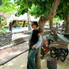 venicemariegarcia
