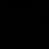 fikadisinni