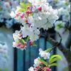 thanh.nguyn2787