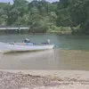 kimberlee313