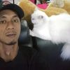 hendra.hade
