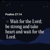 wills_0090